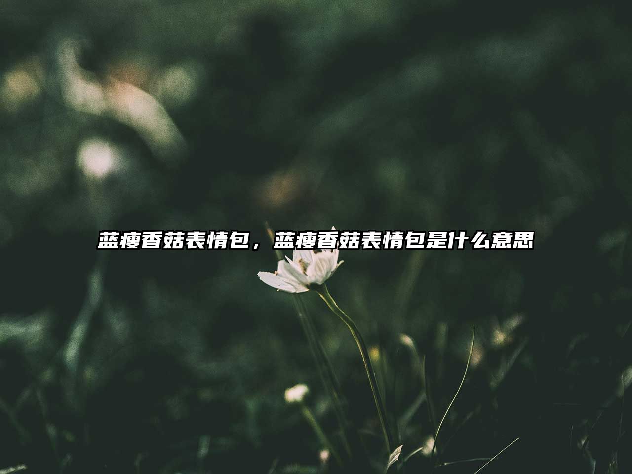 藍瘦香菇表情包，藍瘦香菇表情包是什么意思