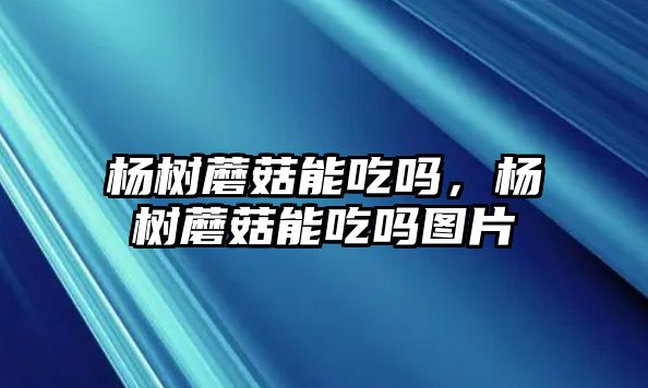 楊樹蘑菇能吃嗎，楊樹蘑菇能吃嗎圖片