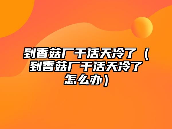 到香菇廠干活天冷了（到香菇廠干活天冷了怎么辦）