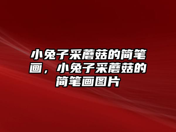 小兔子采蘑菇的簡(jiǎn)筆畫(huà)，小兔子采蘑菇的簡(jiǎn)筆畫(huà)圖片