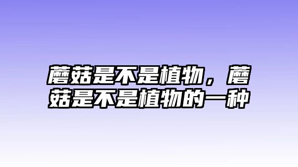 蘑菇是不是植物，蘑菇是不是植物的一種