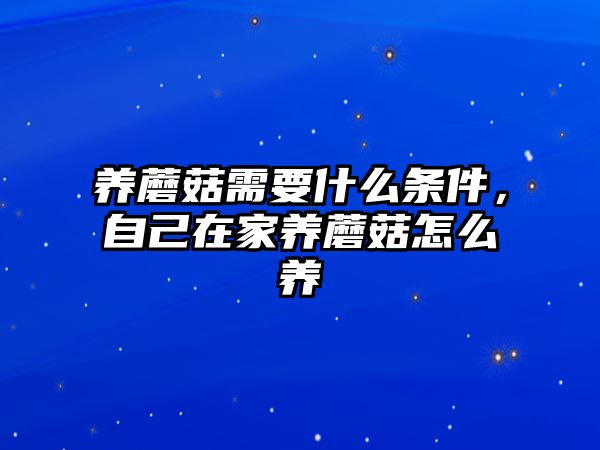 養(yǎng)蘑菇需要什么條件，自己在家養(yǎng)蘑菇怎么養(yǎng)