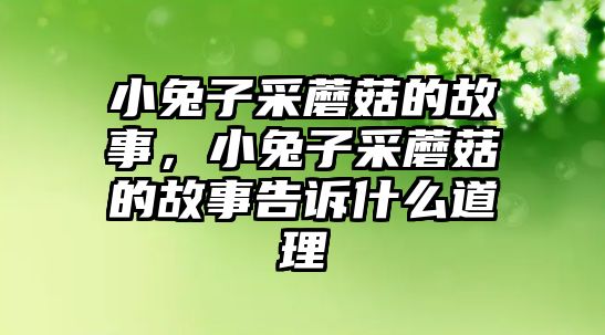 小兔子采蘑菇的故事，小兔子采蘑菇的故事告訴什么道理