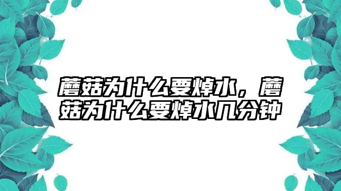 蘑菇為什么要焯水，蘑菇為什么要焯水幾分鐘