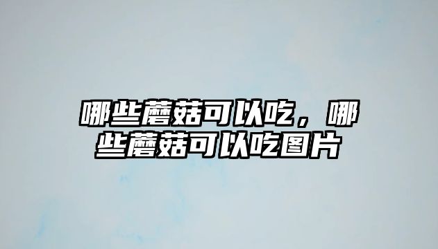 哪些蘑菇可以吃，哪些蘑菇可以吃圖片