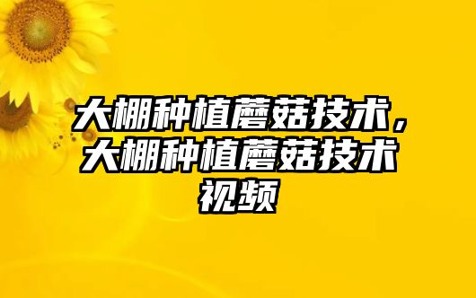 大棚種植蘑菇技術，大棚種植蘑菇技術視頻