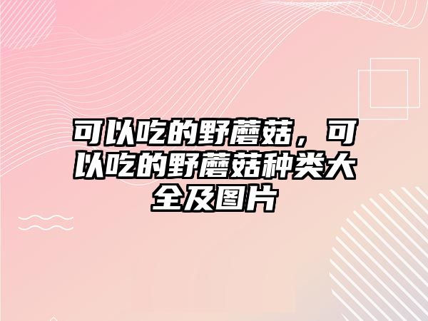 可以吃的野蘑菇，可以吃的野蘑菇種類大全及圖片