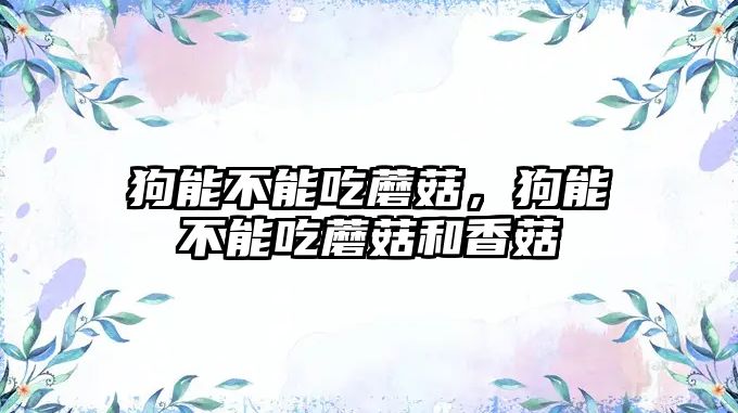 狗能不能吃蘑菇，狗能不能吃蘑菇和香菇