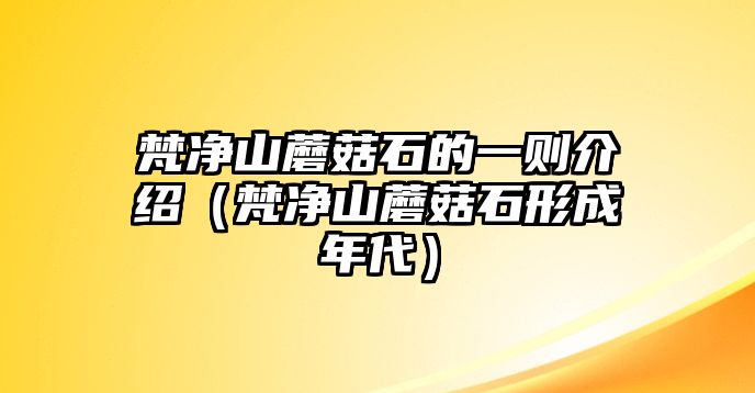 梵凈山蘑菇石的一則介紹（梵凈山蘑菇石形成年代）