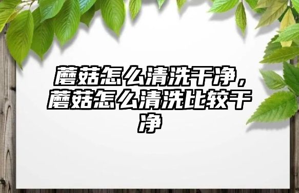 蘑菇怎么清洗干凈，蘑菇怎么清洗比較干凈