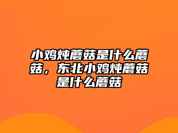 小雞燉蘑菇是什么蘑菇，東北小雞燉蘑菇是什么蘑菇