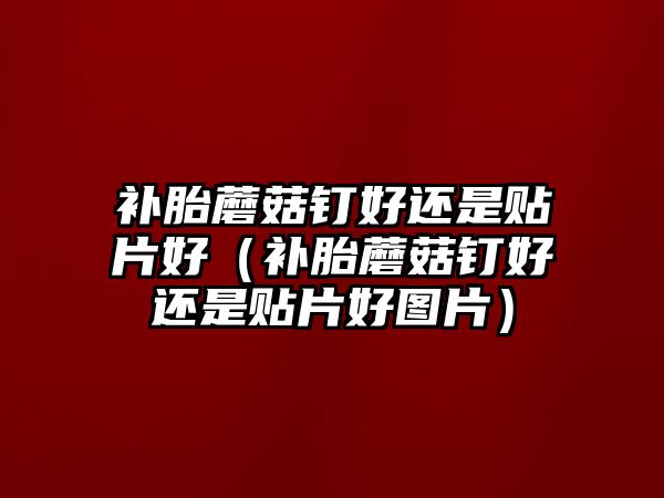 補(bǔ)胎蘑菇釘好還是貼片好（補(bǔ)胎蘑菇釘好還是貼片好圖片）