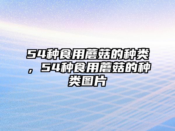 54種食用蘑菇的種類(lèi)，54種食用蘑菇的種類(lèi)圖片