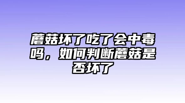 蘑菇壞了吃了會中毒嗎，如何判斷蘑菇是否壞了