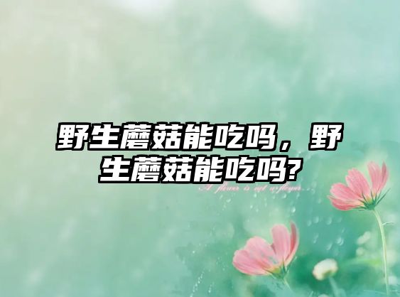 野生蘑菇能吃嗎，野生蘑菇能吃嗎?