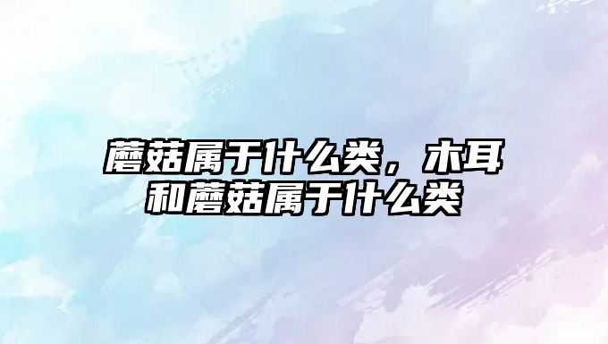 蘑菇屬于什么類，木耳和蘑菇屬于什么類