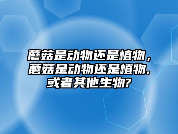 蘑菇是動物還是植物，蘑菇是動物還是植物,或者其他生物?