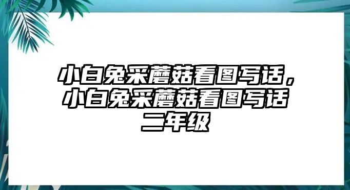 小白兔采蘑菇看圖寫話，小白兔采蘑菇看圖寫話二年級(jí)