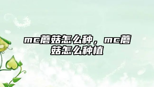 mc蘑菇怎么種，mc蘑菇怎么種植