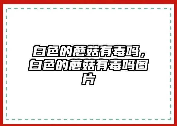 白色的蘑菇有毒嗎，白色的蘑菇有毒嗎圖片