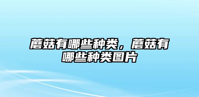 蘑菇有哪些種類，蘑菇有哪些種類圖片