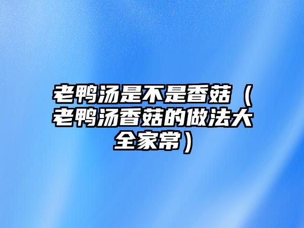 老鴨湯是不是香菇（老鴨湯香菇的做法大全家常）