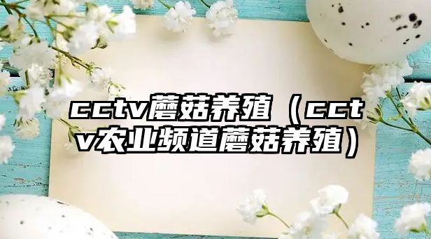 cctv蘑菇養殖（cctv農業頻道蘑菇養殖）