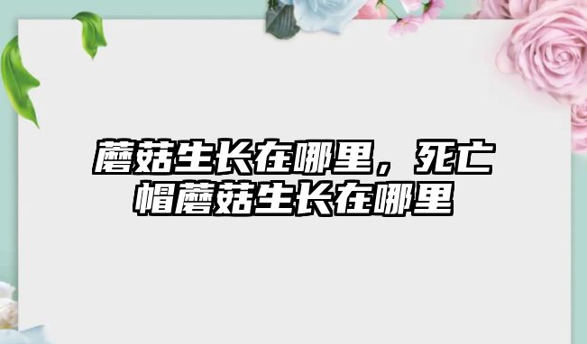 蘑菇生長在哪里，死亡帽蘑菇生長在哪里