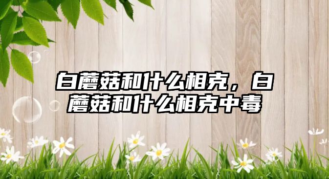 白蘑菇和什么相克，白蘑菇和什么相克中毒