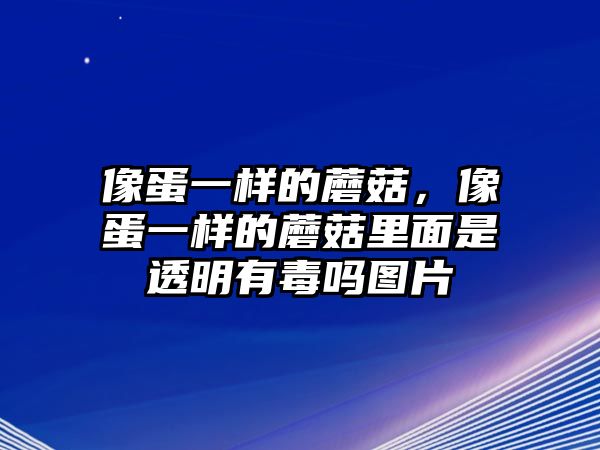 像蛋一樣的蘑菇，像蛋一樣的蘑菇里面是透明有毒嗎圖片