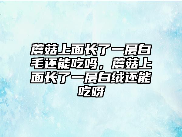 蘑菇上面長了一層白毛還能吃嗎，蘑菇上面長了一層白絨還能吃呀