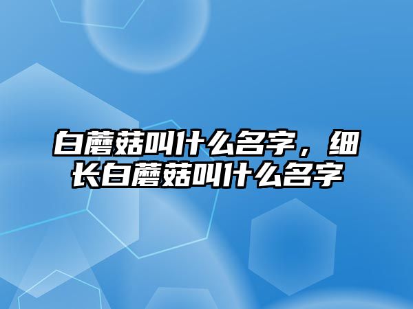 白蘑菇叫什么名字，細長白蘑菇叫什么名字