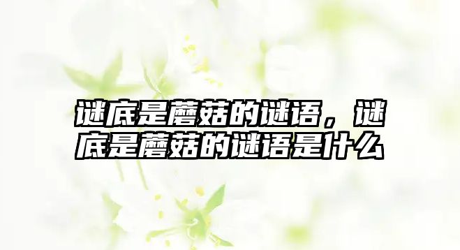 謎底是蘑菇的謎語，謎底是蘑菇的謎語是什么