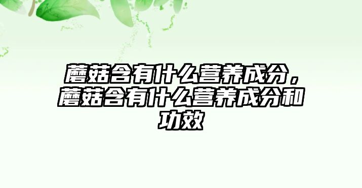 蘑菇含有什么營(yíng)養(yǎng)成分，蘑菇含有什么營(yíng)養(yǎng)成分和功效