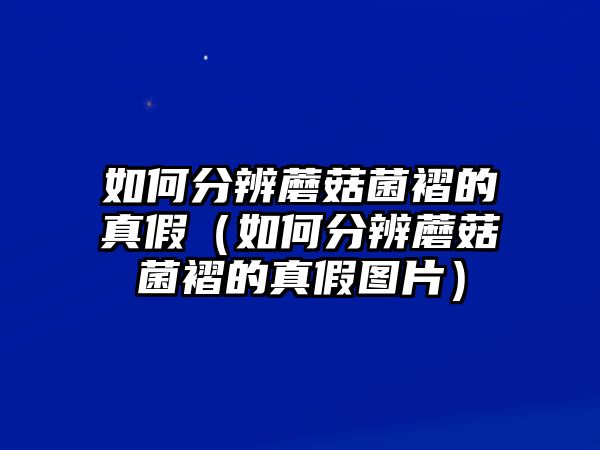 如何分辨蘑菇菌褶的真假（如何分辨蘑菇菌褶的真假圖片）