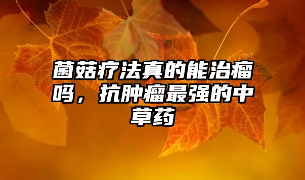 菌菇療法真的能治瘤嗎，抗腫瘤最強(qiáng)的中草藥