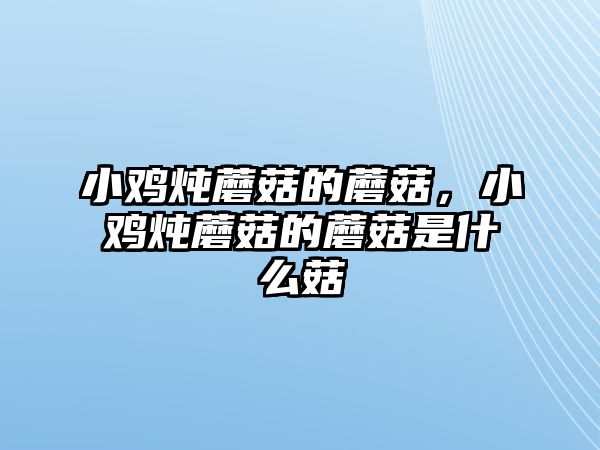 小雞燉蘑菇的蘑菇，小雞燉蘑菇的蘑菇是什么菇