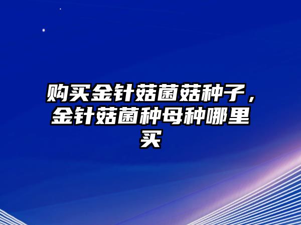 購(gòu)買金針菇菌菇種子，金針菇菌種母種哪里買