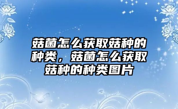 菇菌怎么獲取菇種的種類，菇菌怎么獲取菇種的種類圖片