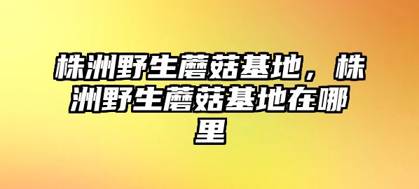 株洲野生蘑菇基地，株洲野生蘑菇基地在哪里