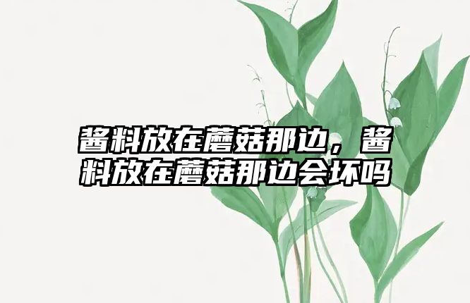 醬料放在蘑菇那邊，醬料放在蘑菇那邊會(huì)壞嗎