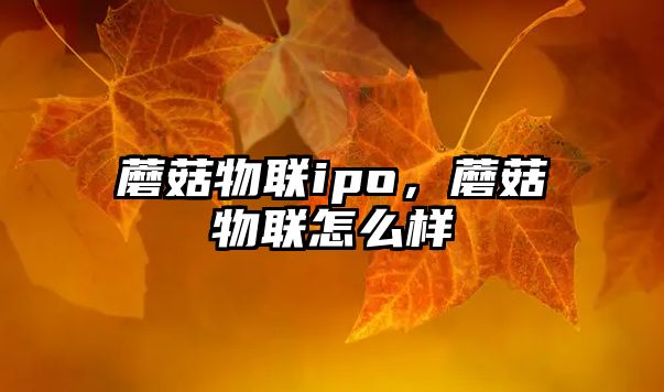 蘑菇物聯ipo，蘑菇物聯怎么樣