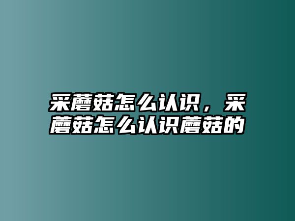 采蘑菇怎么認識，采蘑菇怎么認識蘑菇的