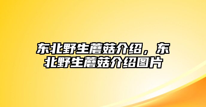 東北野生蘑菇介紹，東北野生蘑菇介紹圖片