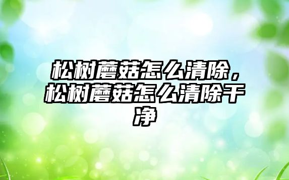 松樹蘑菇怎么清除，松樹蘑菇怎么清除干凈