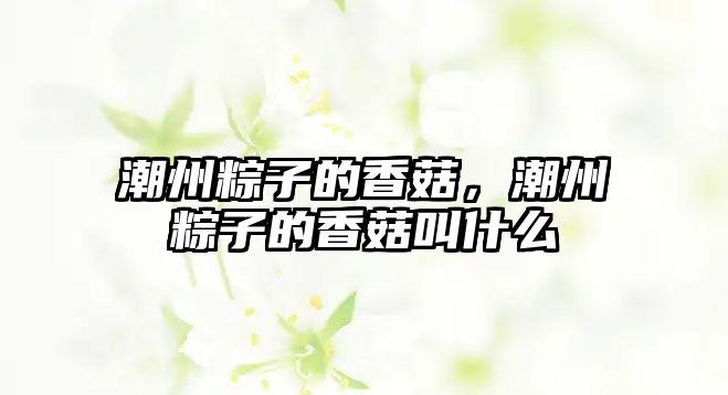 潮州粽子的香菇，潮州粽子的香菇叫什么