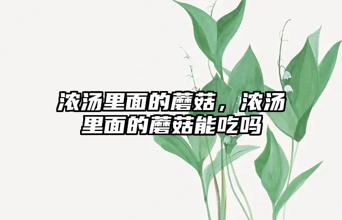 濃湯里面的蘑菇，濃湯里面的蘑菇能吃嗎