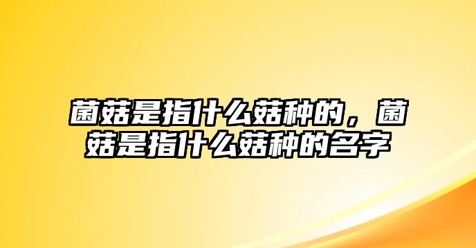 菌菇是指什么菇種的，菌菇是指什么菇種的名字