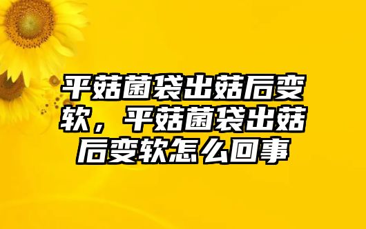 平菇菌袋出菇后變軟，平菇菌袋出菇后變軟怎么回事