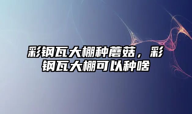 彩鋼瓦大棚種蘑菇，彩鋼瓦大棚可以種啥